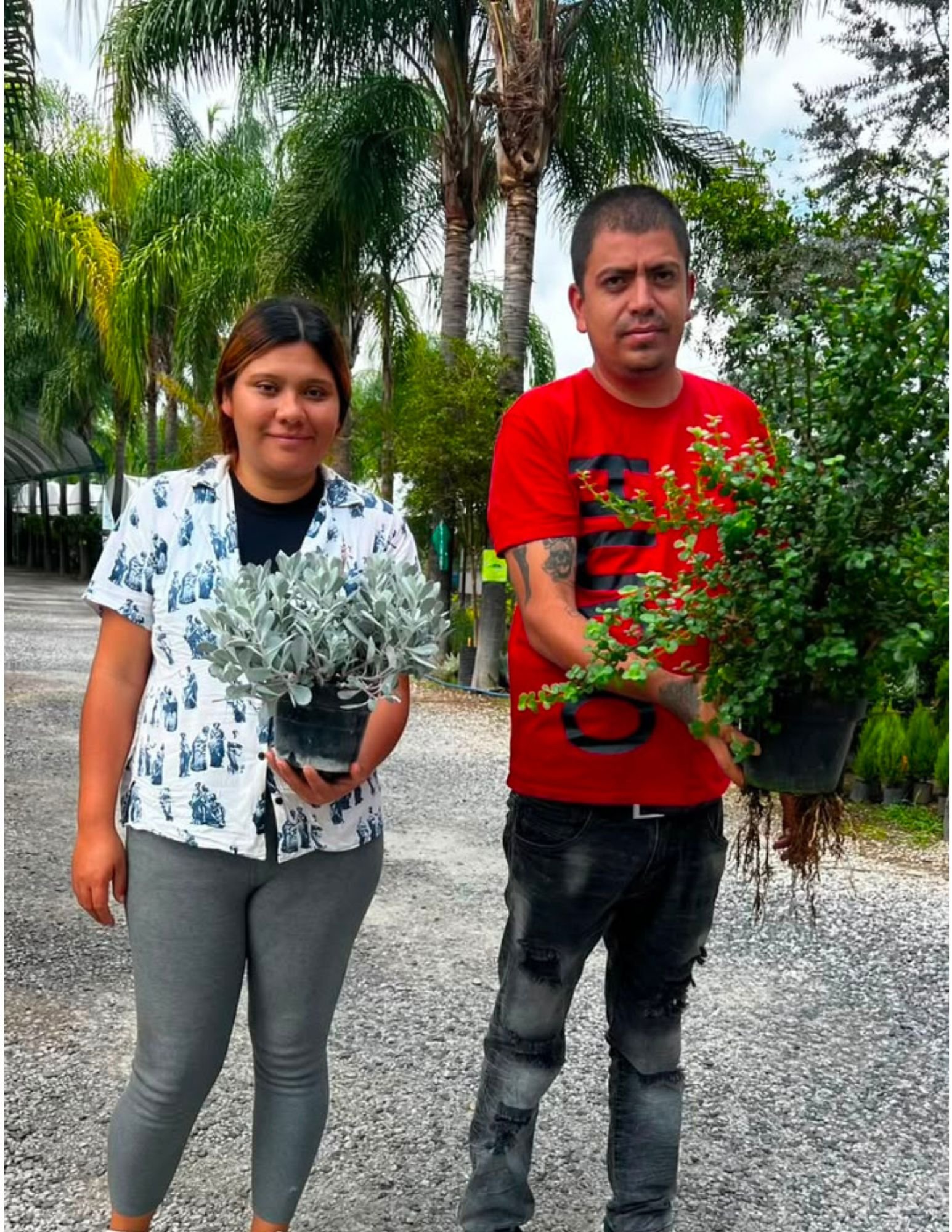 Cliente con su árbol de entrega
