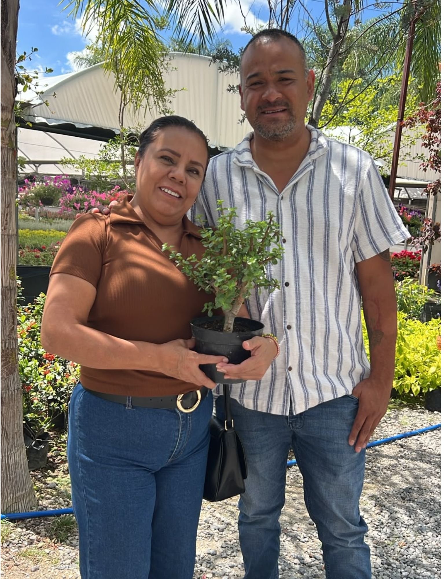 Cliente con su árbol de entrega