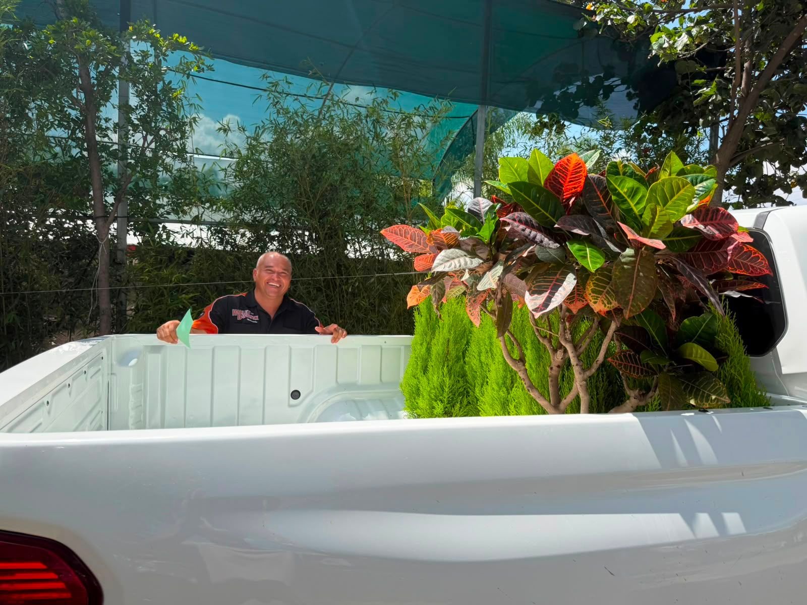 Cliente con su árbol de entrega