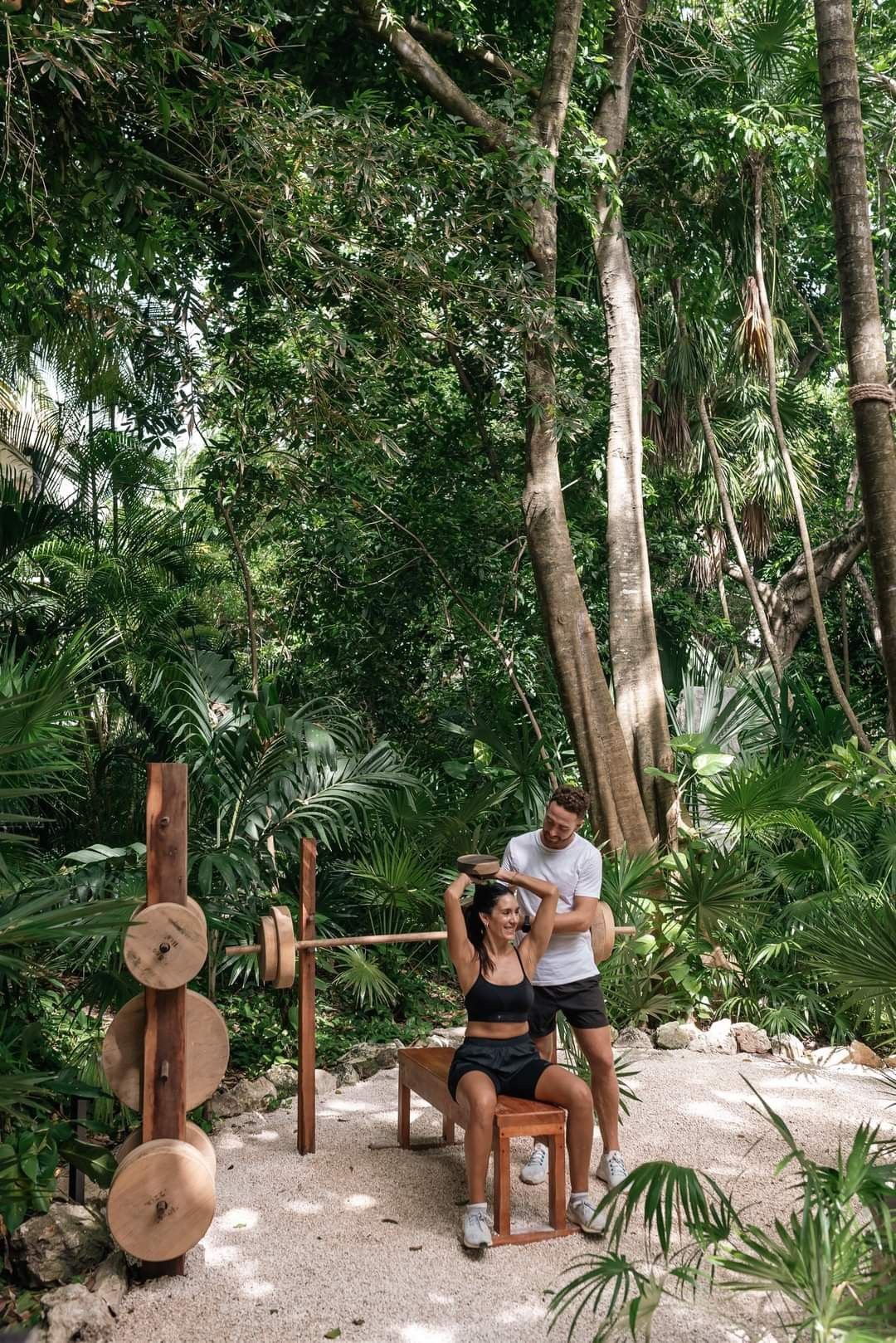 Jungle Gym