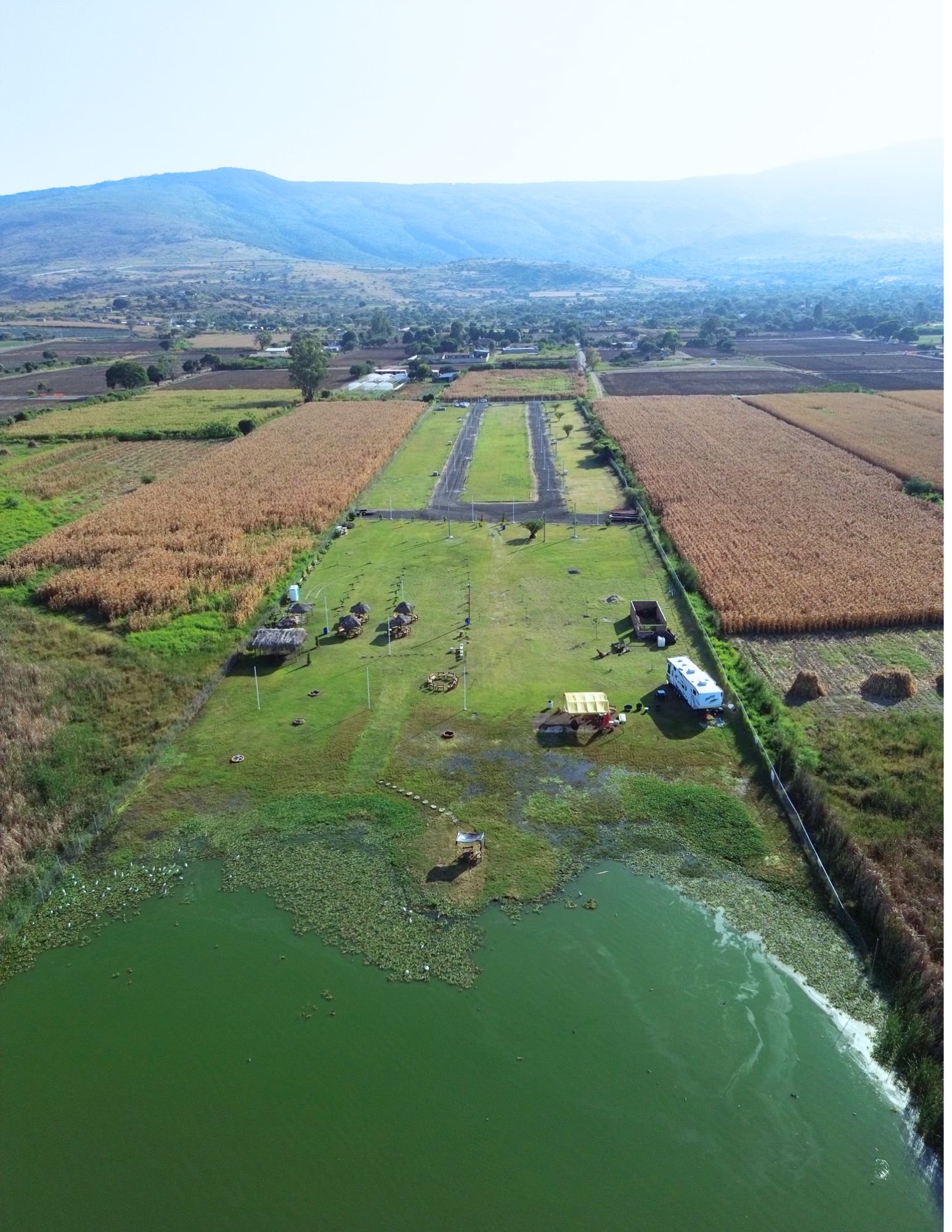 Jardines del Lago